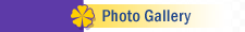 Photo Gallery